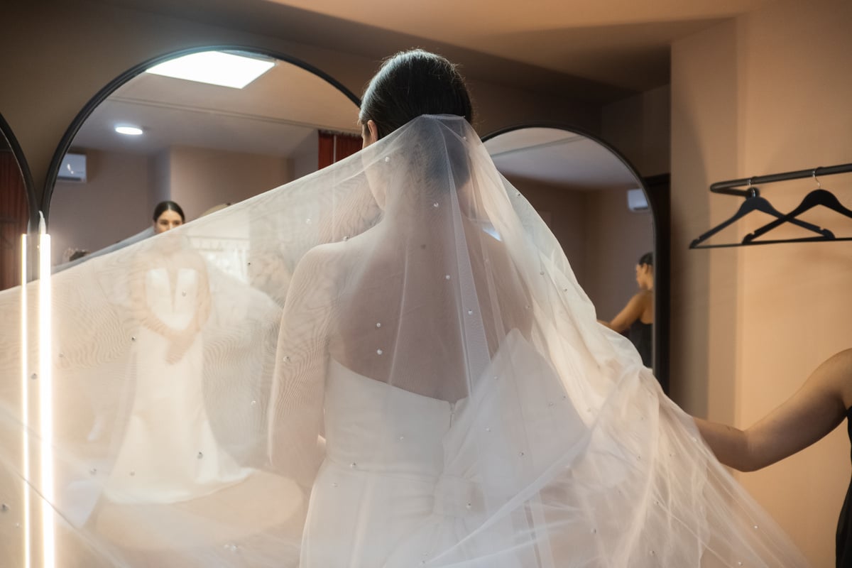 A Woman in Her Wedding Dress 